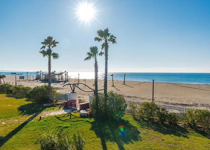 Serene Haven Talea By Pikhost